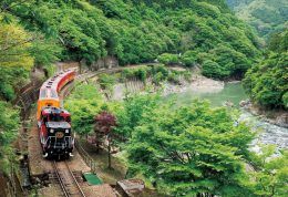 日本京都嵯峨野小火车&保津川泛舟一日游 日本京都嵯峨野小火车&保津川泛舟一日游