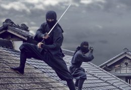 日本一起去寻找忍者・武士吧!日光江户村一日游 日本一起去寻找忍者・武士吧!日光江户村一日游