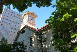 日本北海道札幌包车私人观光一日游 日本北海道札幌包车私人观光一日游