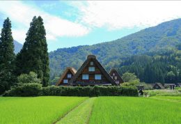 日本世界遗产白川乡&飞弹高山包车私人观光一日游 日本世界遗产白川乡&飞弹高山包车私人观光一日游