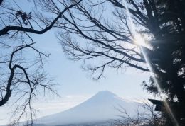 山梨县一日暴走——富士山脚下的世外桃源