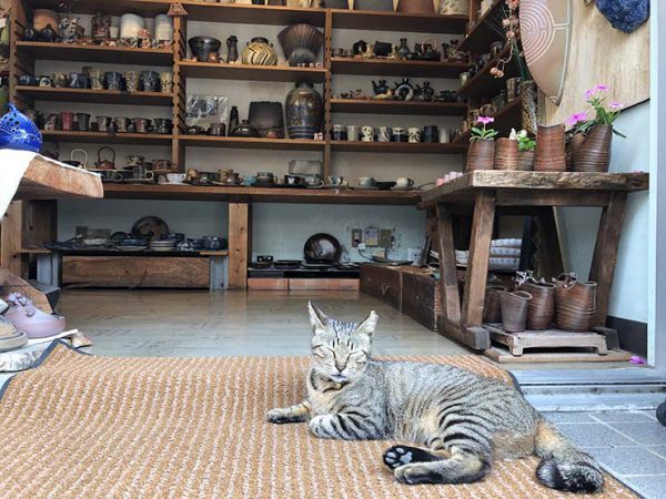 壶屋陶瓷器街的猫