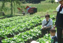 长野信州青春村+体験+民家体验宿泊(包含接送服务) 长野信州青春村+体験+民家体验宿泊(包含接送服务)