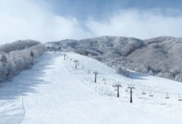 当天往返!滑雪+高速巴士「新宿 – 白馬・安云野线」」(含滑雪用具租赁) 当天往返!滑雪+高速巴士「新宿 – 白馬・安云野线」」(含滑雪用具租赁)