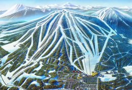 21条雪道+极佳粉雪雪质 来安比高原感受独一无二的“浮游感” 21条雪道+极佳粉雪雪质 来安比高原感受独一无二的“浮游感”