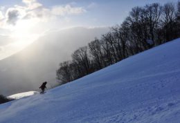 滑雪+温泉+岩手美食一站式体验 感受八幡平的岩手风情 滑雪+温泉+岩手美食一站式体验 感受八幡平的岩手风情