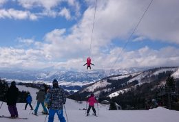详解野泽温泉滑雪场：冬奥会标准超大雪场 野泽温泉+雪猿疗愈身心