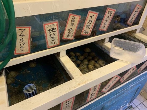 牡蛎、蛤蛎，以及蝾螺