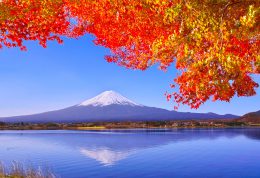 没有人不知道富士山，没有多少人能回答准确位置