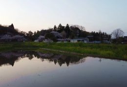 【日本农村美景01】稻田充满水、在你的眼中施展魔法