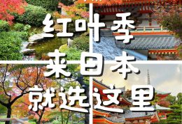 红叶季来日本,不知道去哪?就选这里! 红叶季来日本,不知道去哪?就选这里!