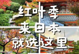红叶季来日本，不知道去哪？就选这里！