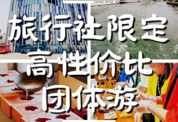 旅行社限定：專為時間緊湊人士打造的高性價比團體游